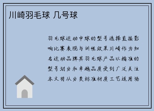 川崎羽毛球 几号球