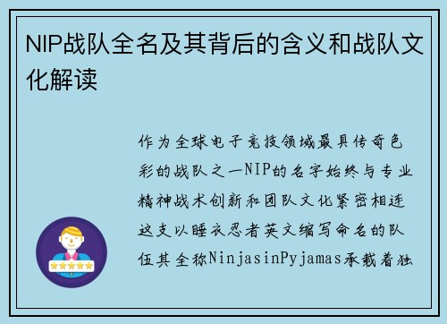 NIP战队全名及其背后的含义和战队文化解读